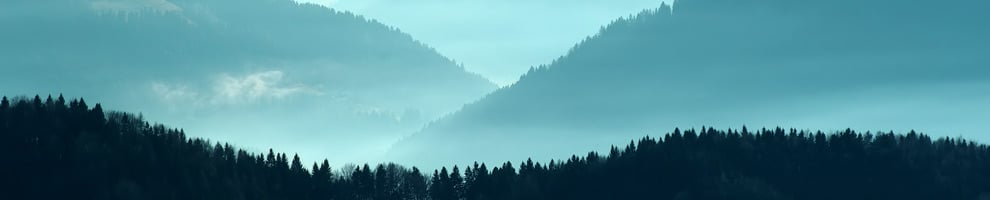 Misty pine-covered hills